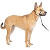 Gentle Leader No-Pull Dog Headcollar for Improved Walks and Directions