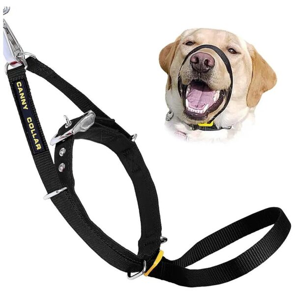 Gentle No-Pull Dog Collar for Leash Training with Nylon Nose Loop and Buckle Closure