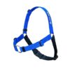 Gentle No-Pull Dog Training Harness Solution for Small Breed Dogs in Blue Color