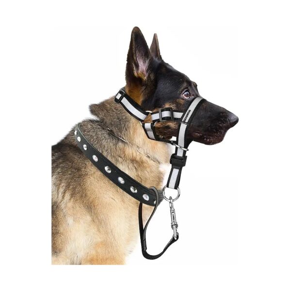 Gentle No Pull Head Collar for Adult Dogs with Muzzle Leashes and Reflective Strips