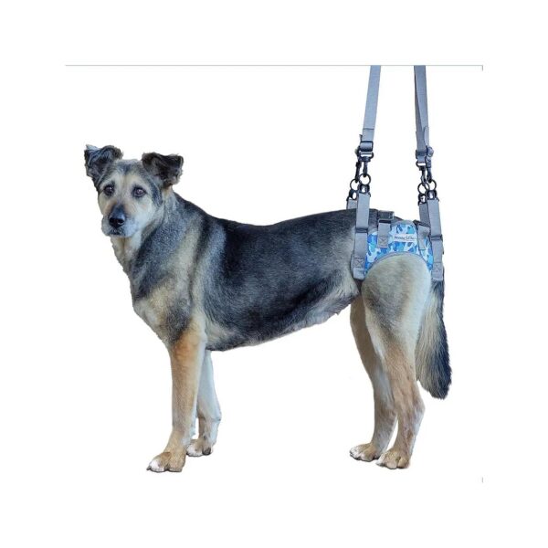 Gentle Rear Leg Support and Lift for Dogs Recovering from Surgery