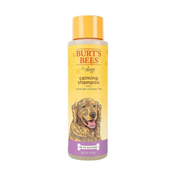 Gentle Shampoo with Oatmeal and Green Tea for Dogs