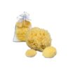 Gentle and Effective Sea Sponge Bathing Products for Dogs and Pets