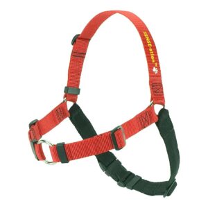 Gently Teaches Your Dog to Walk at Your Side with Red Solid Polyester Large Harness