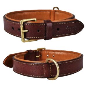 Genuine Leather Dog Collar for Small to Large Dogs with Comfortable and Secure Fit