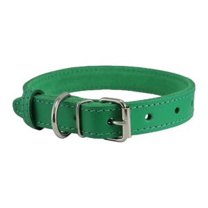 Genuine Leather Dog Collar in Green for 7 Sizes of Medium to Large Breeds