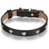 Genuine Leather Dog Collar with 18K Yellow Gold Plated Heart Studs and Microfiber Lining