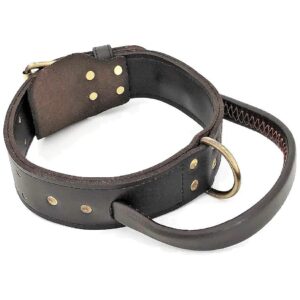 Genuine Leather Dog Collar with Handle for Medium and Large Pets 14 to 16 Inch Neck