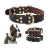 Genuine Leather Dog Collar with Metal Buckle and D-Rings for Medium to Large Breed Dogs