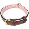 Genuine Leather Dog Collar with Padded Comfort and Beautiful Design for Medium Sizes