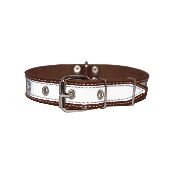 Genuine Leather Dog Collar with Reflective Stripe for Medium to Large Breeds 22" Long