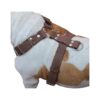 Genuine Leather Dog Harness Large to XLarge Chest Size Brown Amstaff