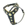 Genuine Leather Studded Harness for Small Breeds Like French Bulldogs and Pugs