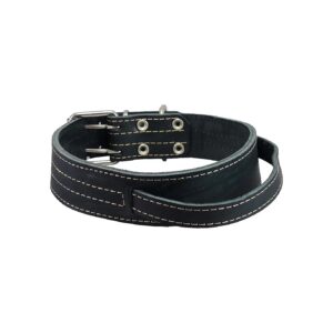 Genuine Leather Wide Handle Comfort Collar for Large Pitbull Doberman