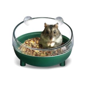 Gerbil and Hamster Compatible Pet Food Bowl for Stomach Relief and Reduced Vomiting