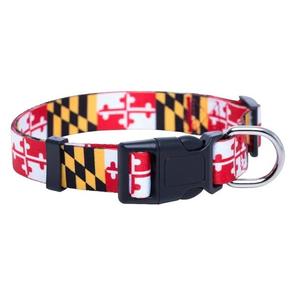 Get Set To March With This Energetic Maryland Flag Dog Collar