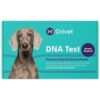 Get the Most Accurate German Shepherd DNA Testing Results for Your Purebred Dog