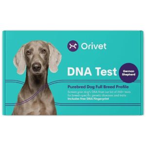 Get the Most Accurate German Shepherd DNA Testing Results for Your Purebred Dog