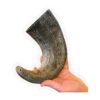 Giant Buffalo Horn Dog Toys for Extra Large Breeds - Promote Healthy Teeth and Gums