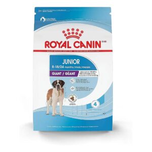 Giant Junior Puppy Food for Large Breed Dogs with Muscle Development and Bone Support