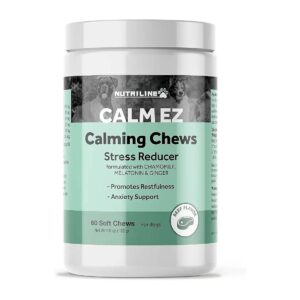 Ginger and Beef Calming Chews for Dogs to Reduce Travel Anxiety