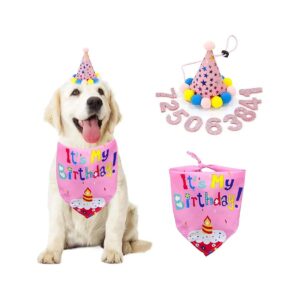 Girl Dog Birthday Gift Pink Bandana with Numbered Hat for Small and Medium Dogs