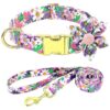 Girl Dog Collar and Leash Set with Stylish Purple Color