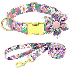 Girl Dog Collar and Leash Set with Stylish Purple Color