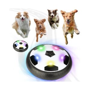 Gliding Disc for Dog and Kids Multiplayer Games and Exercise