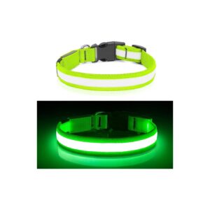 Glow-in-the-Dark Dog Collar with Micro-USB Charging and 3 Light Modes