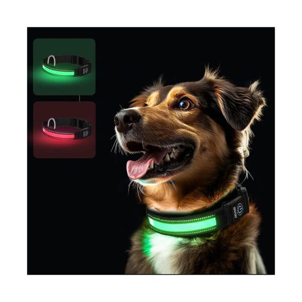 Glowing LED Dog Collar for Small Medium and Large Dogs Night Safety