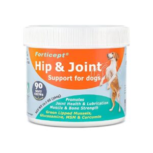 Glucosamine Chondroitin MSM Joint Supplement for Dogs with Hip and Muscle Support