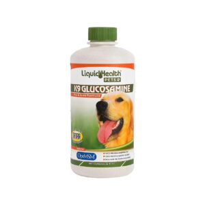 Glucosamine Chondroitin MSM Liquid Supplement for Dogs of All Ages and Sizes