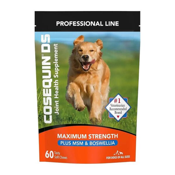 Glucosamine Chondroitin MSM Soft Chews for Dogs