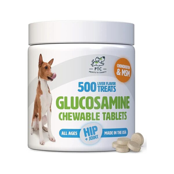 Glucosamine Chondroitin MSM Supplement for Canine Joint Pain and Arthritis Relief