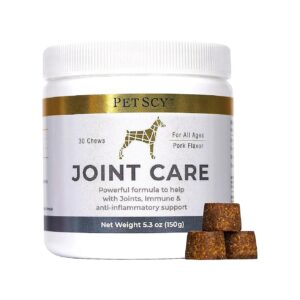 Glucosamine, Chondroitin, MSM, and Creatine Joint Supplement for Dogs with Pork Flavor