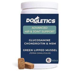 Glucosamine, Chondroitin, and MSM for Active and Healthy Dogs