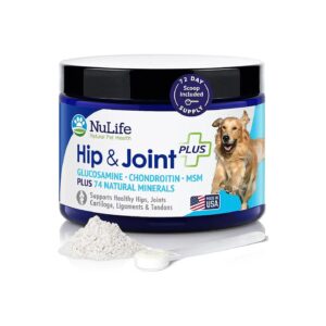 Glucosamine Powder for Dogs with Arthritis and Hip Dysplasia Provides Natural Relief