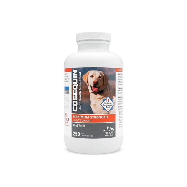 Glucosamine and Chondroitin Joint Health Supplement for Dogs of All Sizes