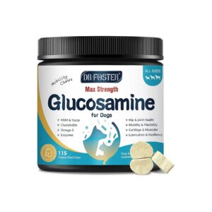 Glucosamine and Chondroitin Sulfate for Dog Digestive Health and Nutrition