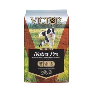 Gluten Free and High Protein Dog Food for Active Dogs and Puppies