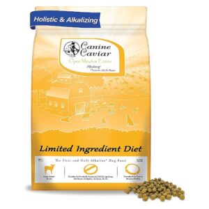 Gluten-Free and Low Sodium Adult Dog Food with Lamb and Pearl Millet