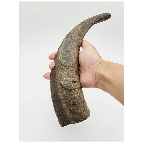 Goat Horn Dog Chew for Healthier Teeth and a Happier Pet