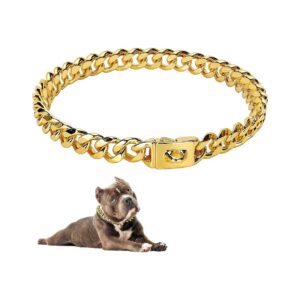 Gold 18K Metal Chain Dog Collar with Design Secure Buckle for Small Medium Large Dogs