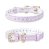 Gold Buckle and Rhinestones for Small to Medium Dogs and Cats