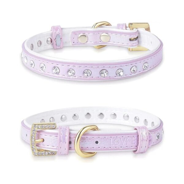 Gold Buckle and Rhinestones for Small to Medium Dogs and Cats