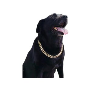 Gold Coated Cuban Link Dog Collar Necklace for Puppy Accessories