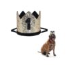 Gold Crowned Pet Hat for Small Breeds 1st Birthday Party Accessories