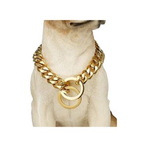 Gold Cuban Link Chain Dog Collar for Small Dogs with 10mm/15mm Wide Heavy Duty Chain