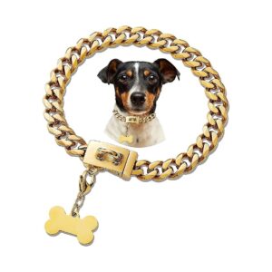 Gold Dog Chain Collar with Chrome-Plated Steel and Buckle for Medium to Large Canines